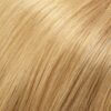 Light Gold Blonde 24B22RN